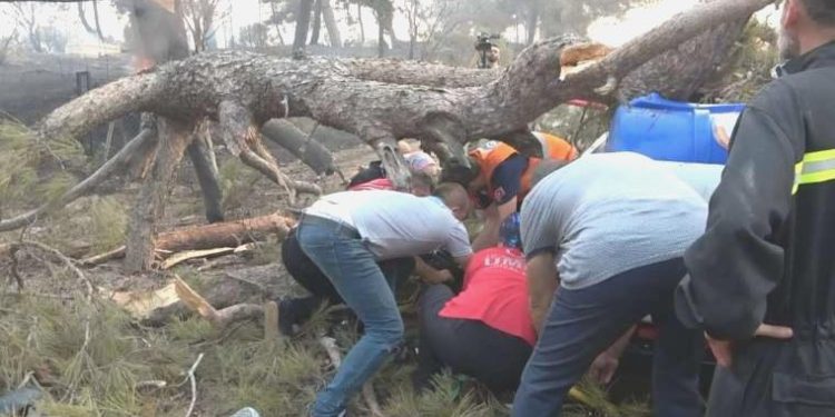 Çanakkale’deki orman yangınına müdahale eden vazifelinin üzerine ağaç devrildi!