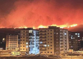 Çanakkale’deki yangında son durum! CHP’li vekil Güneşhan anlattı