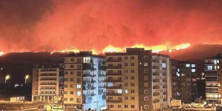 Çanakkale’deki yangında son durum! CHP’li vekil Güneşhan anlattı