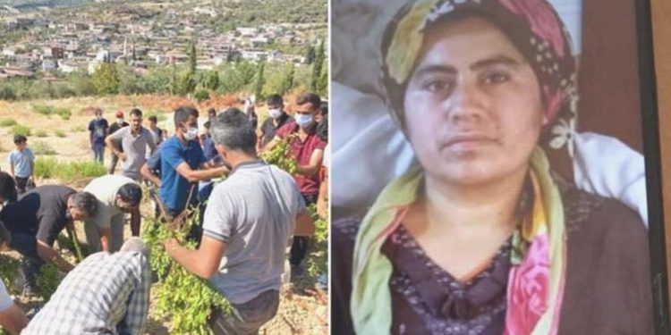 Cesedi zeytinlikte bulunmuştu: Bayanın vefat sebebi belirlendi