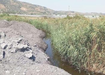 CHP’li Bülbül: Sulak alanlar neden dolduruluyor?