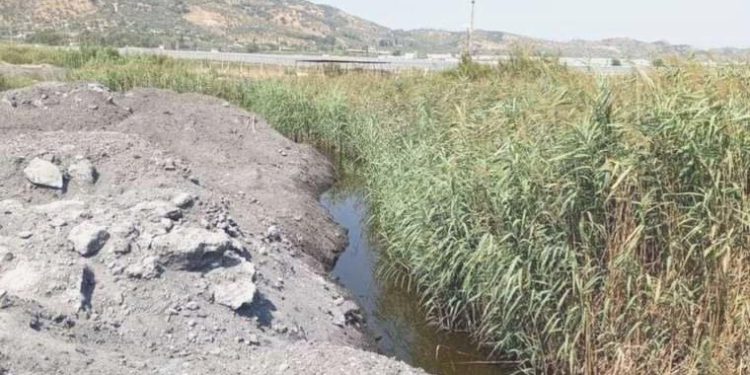 CHP’li Bülbül: Sulak alanlar neden dolduruluyor?