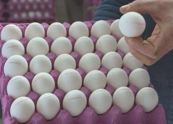 CHP’li Kılıç’tan Bakan Yumaklı’ya: Tayvan’ın kanserojen unsur tespit ettiği yumurtalar Türkiye’de iç piyasaya mı sürüldü?