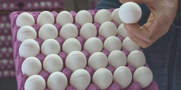 CHP’li Kılıç’tan Bakan Yumaklı’ya: Tayvan’ın kanserojen unsur tespit ettiği yumurtalar Türkiye’de iç piyasaya mı sürüldü?