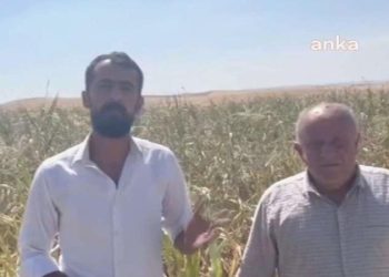 Çiftçi elektrik kesintilerine isyan etti: ‘Mısır kurudu gitti’