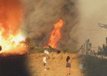 Ciğerlerimiz yanıyor: Çanakkale’deki orman yangınında son durum…