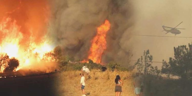 Ciğerlerimiz yanıyor: Çanakkale’deki orman yangınında son durum…