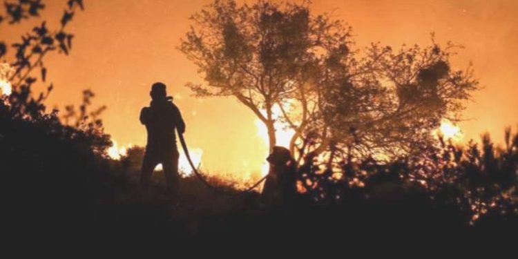 Ciğerlerimiz yanıyor! Uzmanlar: Tertip yok