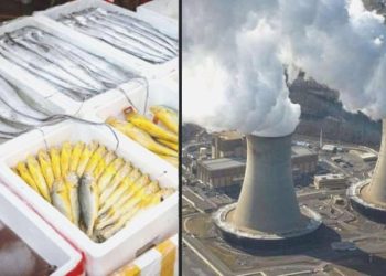 Çin’den Japonya’ya Fukushima yansısı: ‘Bencilce ve sorumsuzca’