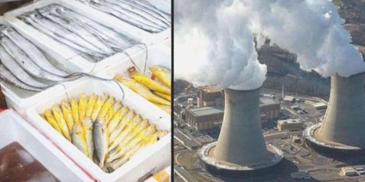 Çin’den Japonya’ya Fukushima yansısı: ‘Bencilce ve sorumsuzca’