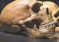 Daha evvelki hiçbir şeye benzemeyen antik insan kafatasının gizemi