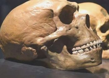 Daha evvelki hiçbir şeye benzemeyen antik insan kafatasının gizemi