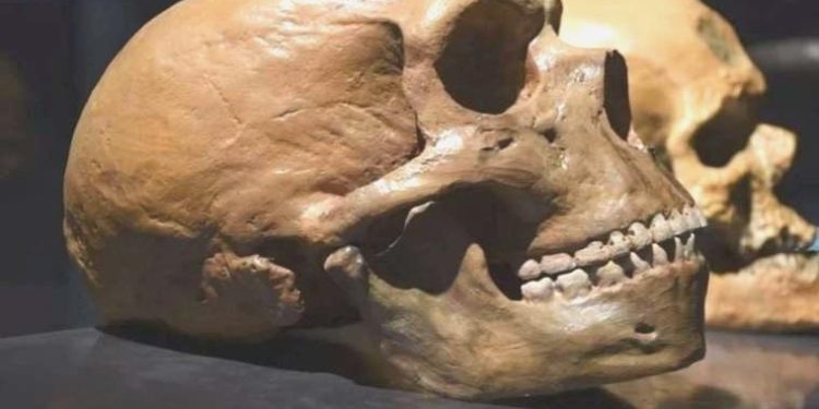 Daha evvelki hiçbir şeye benzemeyen antik insan kafatasının gizemi