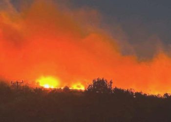 Diyarbakır’da orman yangını: Rüzgârın tesiriyle geniş bir alana yayıldı!