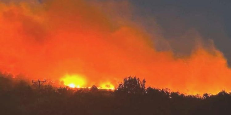 Diyarbakır’da orman yangını: Rüzgârın tesiriyle geniş bir alana yayıldı!