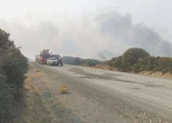 Eceabat’taki yangın denetim altına alındı