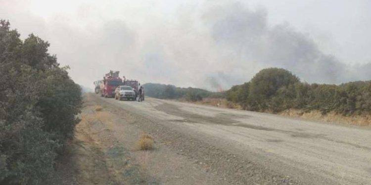 Eceabat’taki yangın denetim altına alındı