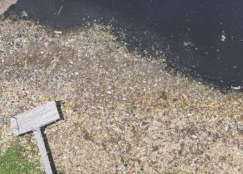 Endonezya’nın başkentindeki kamu çalışanı hava kirliliğini azaltmak için konuttan çalışacak