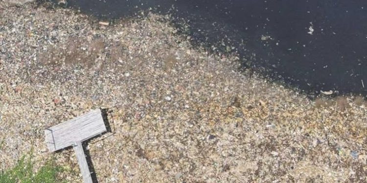 Endonezya’nın başkentindeki kamu çalışanı hava kirliliğini azaltmak için konuttan çalışacak