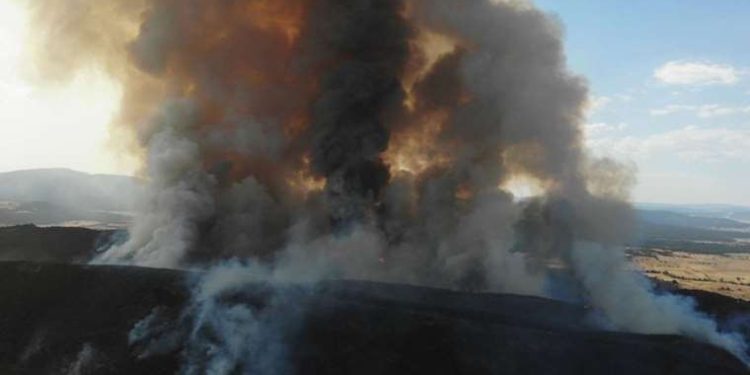 Eskişehir’de yangın: Havadan müdahale başladı!