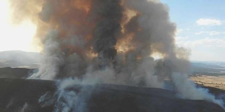 Eskişehir’de yangın: Karayolu trafiğe kapatıldı!