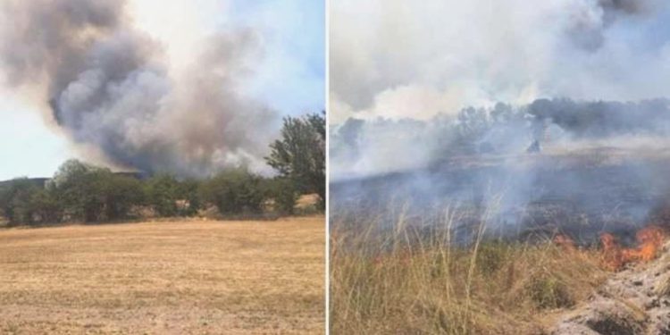 Eskişehir’de yangın: Yerleşim yerlerine yaklaşıyor!