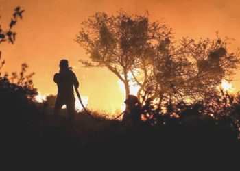 Fenerbahçe ve Galatasaray’dan ‘Çanakkale’ bildirisi