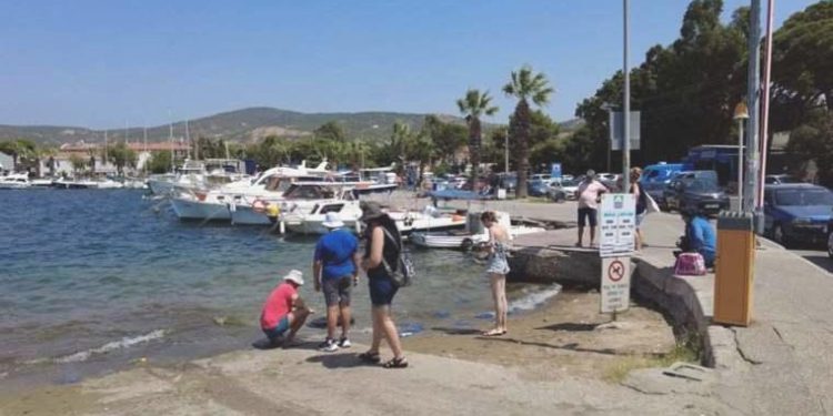 Foça’da turizmi denizanası vurdu, plajlar boş kaldı