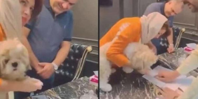 İran’da emlakçı, meskeni bir köpeğe devrettikten sonra tutuklandı