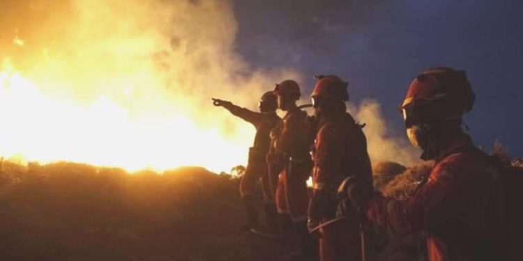 İspanya’nın Tenerife Adası’nda orman yangını: ‘Kasıtlı olarak çıkarıldı’