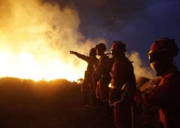 İspanya’nın Tenerife Adası’nda orman yangını: ‘Kasıtlı olarak çıkarıldı’