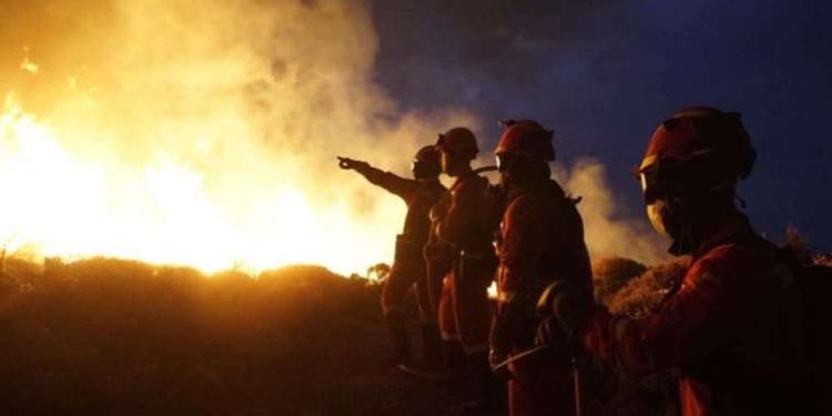 İspanya’nın Tenerife Adası’nda orman yangını: ‘Kasıtlı olarak çıkarıldı’