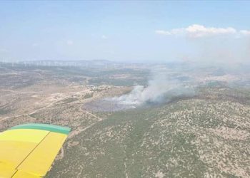 İzmir’de orman yangını: Karadan ve havadan müdahale ediliyor!