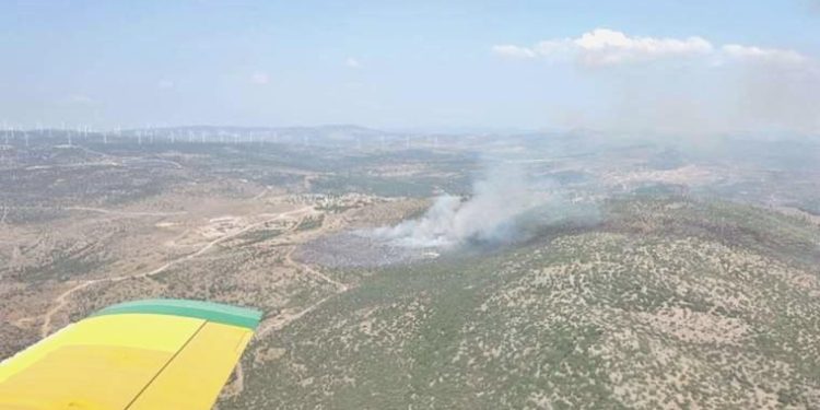 İzmir’de orman yangını: Karadan ve havadan müdahale ediliyor!