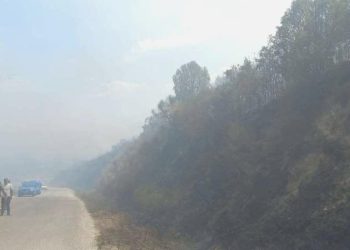 İzmir’de orman yangını: Karadan ve havadan müdahale ediliyor!