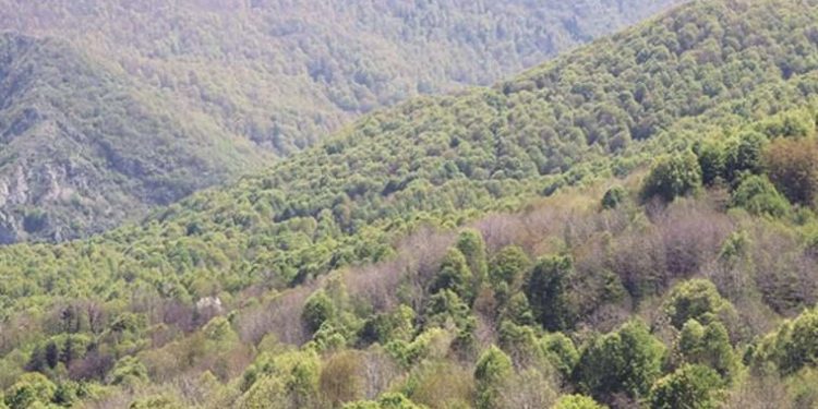 Kandıra’da ormanlık alanlara girişler yasaklandı