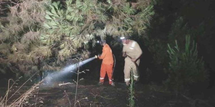 Karabük’te korkutan örtü yangını!