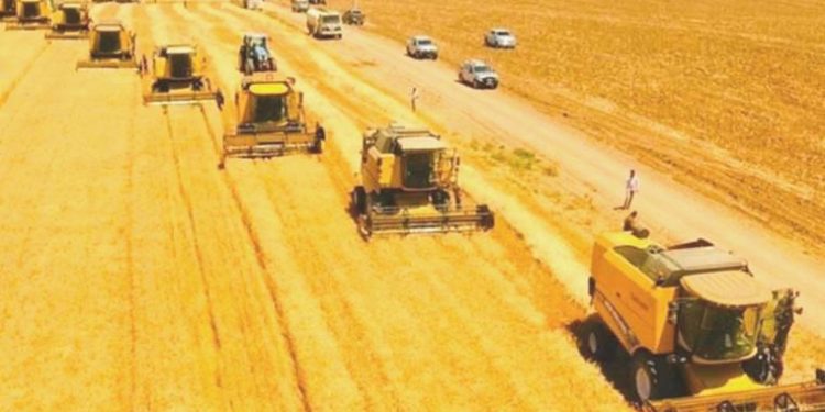 Karadeniz’deki tansiyon buğday fiyatlarını arttırdı