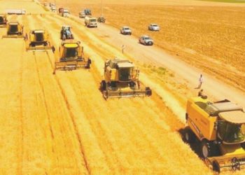 Karadeniz’deki tansiyon buğday fiyatlarını arttırdı