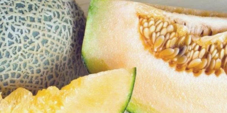 Kavun çekirdekleri besin ve kozmetik eserlerinde değerlendirilebilecek