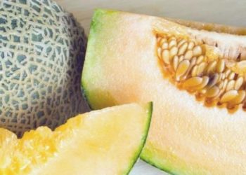 Kavun çekirdekleri besin ve kozmetik eserlerinde değerlendirilebilecek