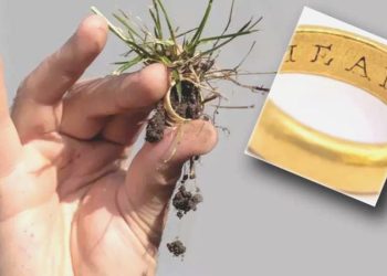 Metal dedektörü ile buldular… 460 yıllık yüzükteki gizemli bildiri