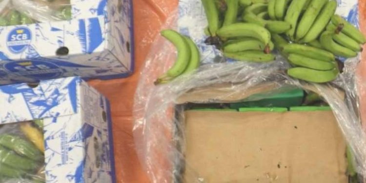 Muzların ortasına saklanan tonlarca kokain ele geçirildi