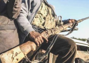 Nijerya’da terör örgütü Boko Haram’ın 23 üyesi öldürüldü