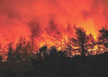 Orman yangınları kalp krizini tetikliyor!