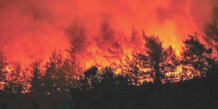 Orman yangınları kalp krizini tetikliyor!