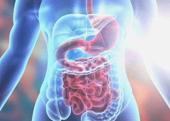 Sindirim sıkıntıları, Parkinson hastalığına yakalanma riskini artırıyor