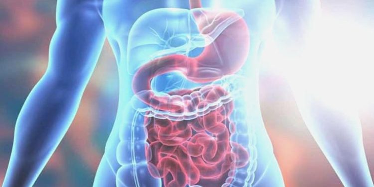 Sindirim sıkıntıları, Parkinson hastalığına yakalanma riskini artırıyor