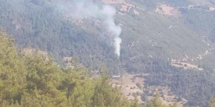 Son Dakika: Adana Feke’de orman yangını