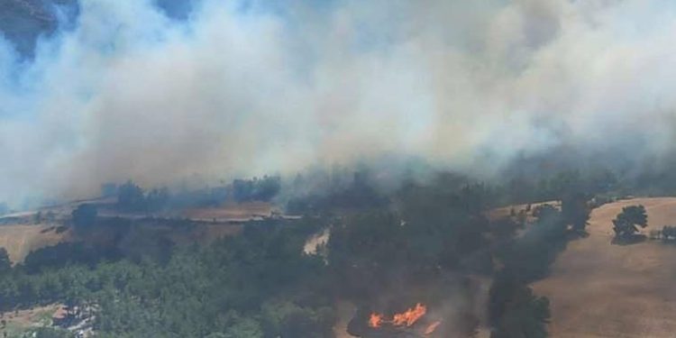 Son dakika… AFAD’dan ‘Çanakkale’ açıklaması: 10 köyde 337 hane, bin 104 kişi tahliye edildi